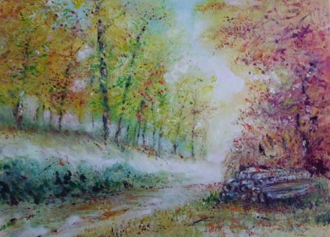 Sous bois Col du Minier