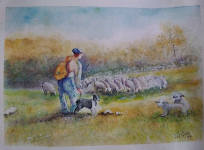 La Transhumance